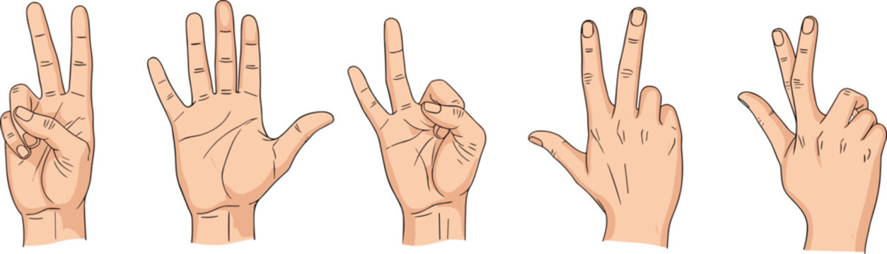 Illustrated hands showing numbers one to five with playful finger gestures and humorous misspelled labels on white educational background