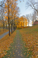 Walk Path Covered in Autumn Leaves at Akershus Fortress Park in Oslo Norway