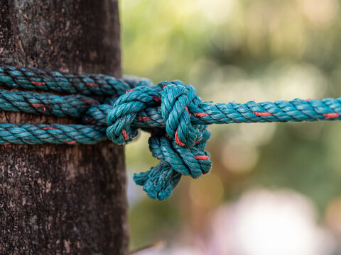 The nylon rope was tightly tied to the big tree