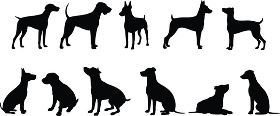 Collection of black construction vehicle silhouettes including excavator bulldozer crane dump truck concrete mixer loader and road roller heavy machinery icons © rakib's world