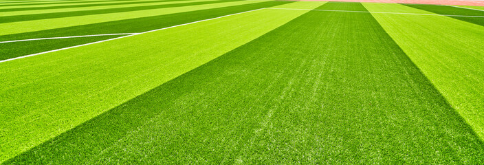 The grass of the football field