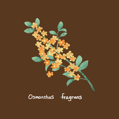 Mid-Autumn Festival Yellow Osmanthus Illustration