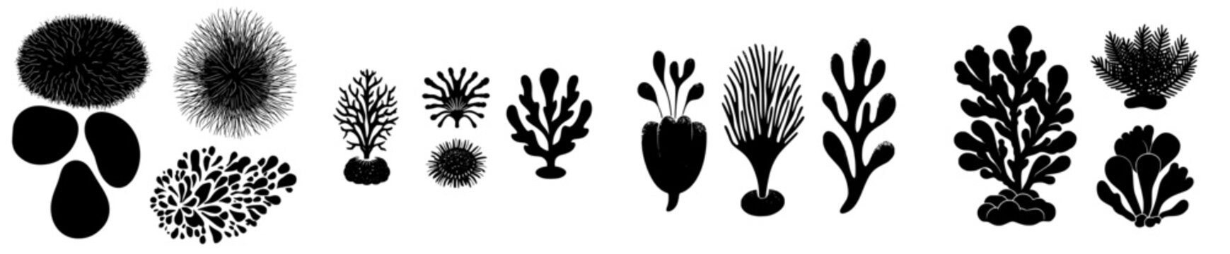 Microscopic Flora Fusion: Moss Gameto Iconography in Black and White