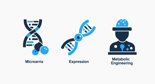 Genetics and Biotechnology Icons: DNA, Microarray, and Metabolic Engineering Concepts