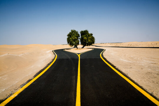 View of a freshly paved black road splitting around two green trees in the vast desert under a clear blue sky, Dubai, United Arab Emirates.