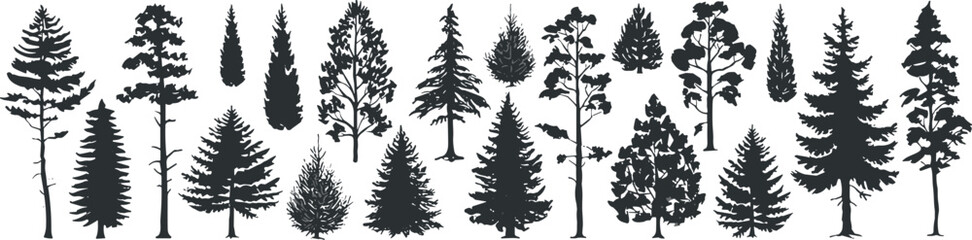 Flat vector silhouettes of diverse tree types, coniferous and deciduous species, black icons, nature design, forest elements, botanical illustration © MstFerdushe