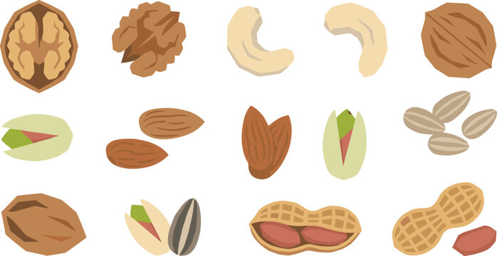 Assorted Nuts Collection with Almond Walnut Cashew Pistachio and Peanut Flat Vector Illustration Set