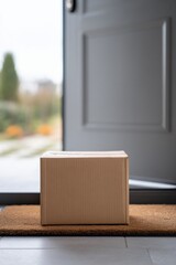 Cardboard box on welcome mat by open front door