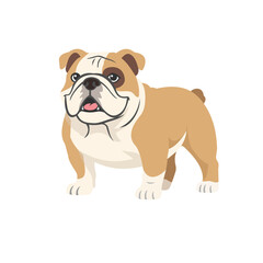 Obraz premium Cartoon vector illustration of an English Bulldog dog standing, isolated on white background.