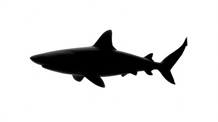 Obraz premium Silhouette of a Shark: A sleek silhouette of a shark glides gracefully in a monochrome, representing the raw power and beauty of marine life.