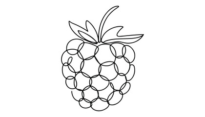 Obraz premium One continuous line illustration of an Boysenberry, isolated on white background.