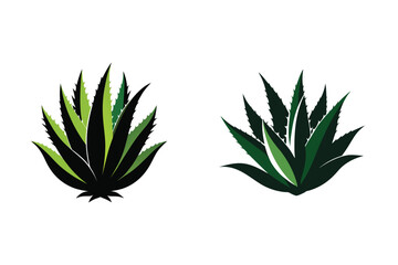 Aloe Vera Plant Silhouette Icon Vector Illustration Medicinal Succulent Plants 