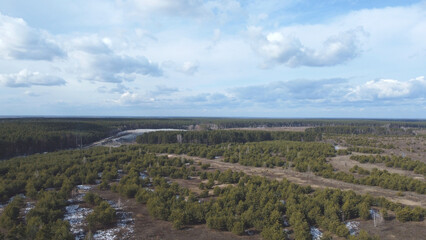 Obraz premium Aerial view of a vast pine forest under a cloudy sky