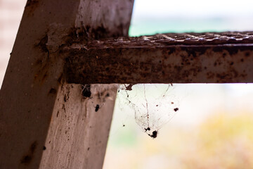 Weathered rustic scene. Detailed view of aged metal and delicate light in fall setting © Vera Aksionava