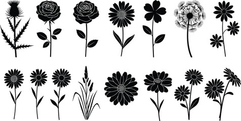 Fototapeta premium Black flower silhouettes collection featuring roses, wildflowers, daisies, and botanical plants, isolated on white background for design, prints, branding, decoration, and creative projects.