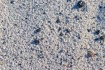 Popcorn-shaped white coral stones on the famous popcorn beach in Corralejo at Fuerteventura, Canary Islands, Spain. Natural background