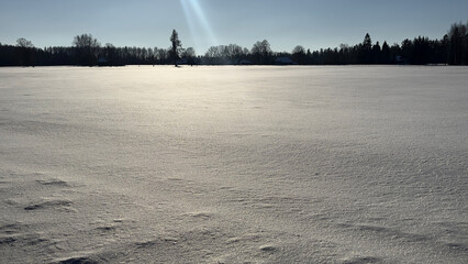 Winter snow covers the ground, snow texture, small plants in the snow, snow white texture, snowflakes, snow on a cold day, footprints in the snow