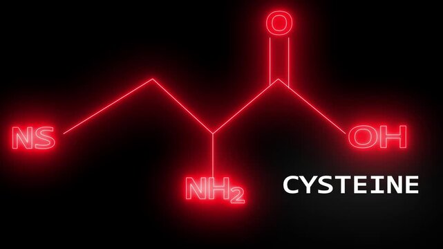 Cysteine amino acid molecular structure with red and white neon glow animation on black background.