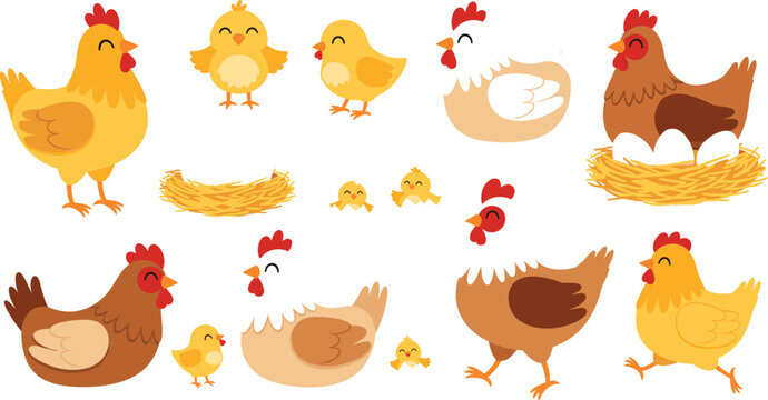 Chicken hen rooster and chick illustration set with nests farm poultry animals