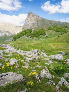 View of jagged mountain peak rising majestically above a vibrant green meadow dotted with wildflowers and limestone rocks, bathed in soft light, Trebinje, Republika Srpska, Bosnia and Herzegovina.