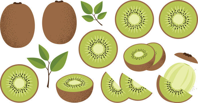 Set of kiwi fruit illustrations with whole peeled slices wedges and leaves vector icons isolated on white