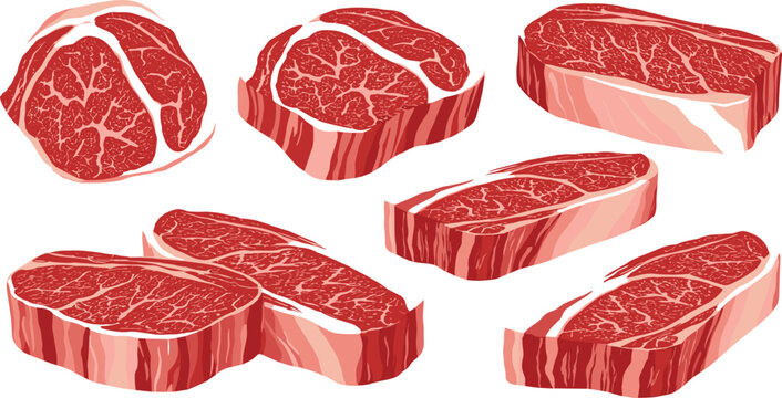 Set of raw marbled beef steak cuts including ribeye striploin sirloin and filet vector illustrations isolated