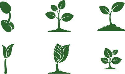 Obraz premium Collection of green plant growth stages icons, from seed to sapling