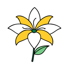 Flower lily vector