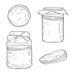 Kombucha. Healthy beverage. Ingredients for homemade fermented tea. Hand drawn vector illustration. Isolated objects on white