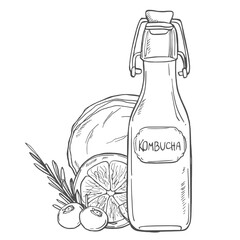 Glass bottle and a glass of kombucha tea, label with an inscription. Fermented probiotic homemade tea. Bottle with tea drink. Vector illustration isolated on white background