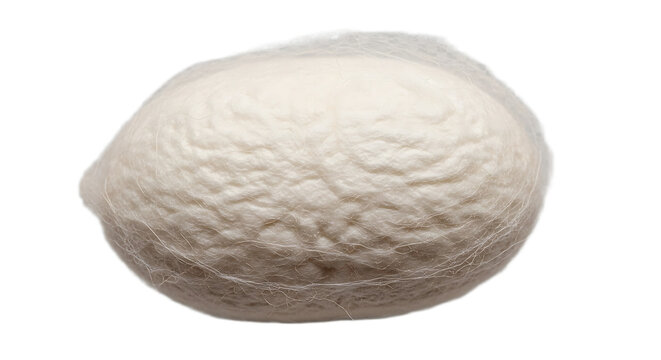 Single raw silk cocoon fuzzy organic texture
