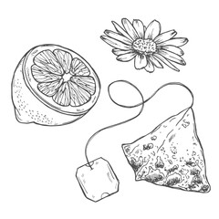 Tea sketch, vector illustrations set. Hand drawn graphic clipart of tea bag, slice of lemon and a chamomile