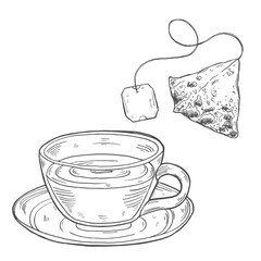 Tea Cup with tea bags floating above it. Vector hand-drawn illustration.