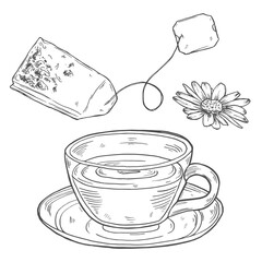 Tea Cup with tea bags floating above it. Vector hand-drawn illustration.