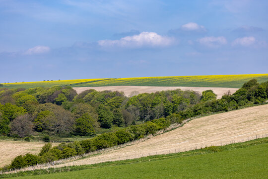 A view over agricultural fields and woodland in the South Downs, on a sunny spring day