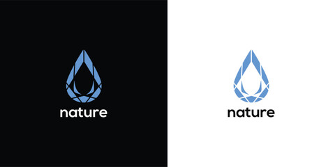 A blue water droplet logo on a split black and white background representing nature