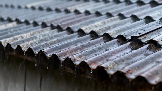 Channeling rainwater, corrugated shed roof directing pooled water toward eave, showing rust