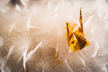 Origami Dorado © Daniel