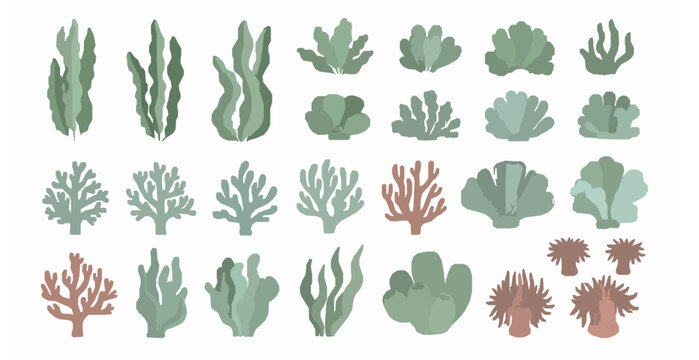 Flat underwater sea plants and coral vector set with kelp algae and soft coral shapes on white background