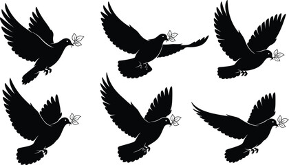 Fototapeta premium Collection of Flying Dove Silhouette Icons Carrying Olive Branches Featuring Various Wing Positions in Detailed Black and White Flat Vector Illustration Set.