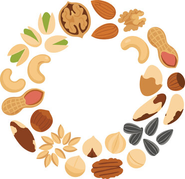 Round nut and seed wreath frame vector illustration with almonds, walnuts, pistachios and peanuts for healthy food design
