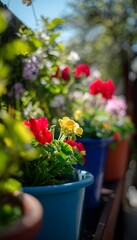 Vibrant flowerpots bloom in a sunny garden showcasing springtime beauty and serene outdoor living spaces