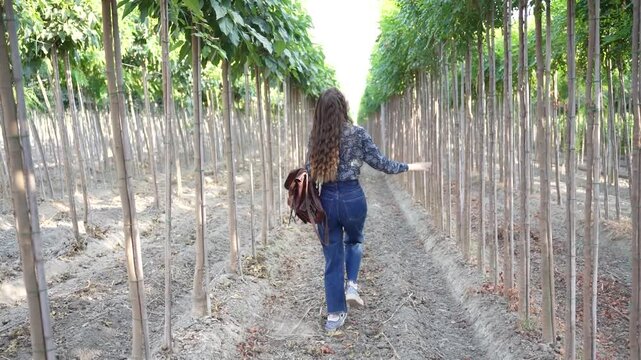 Walking Through Beautiful Vineyards A Serene and Peaceful Escape into Natures Wonders