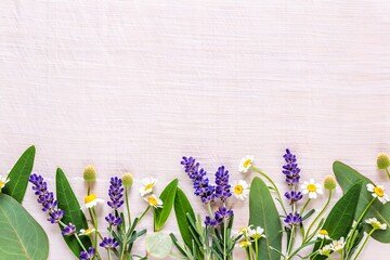 Botanical Banner -  Fresh botanical banner with purple lavender and chamomile on linen