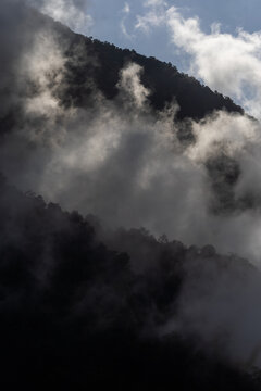 Mysterious Cloud Forest, Thick Fog Rolling over Tropical Mountain Slopes. El Avila National Park
