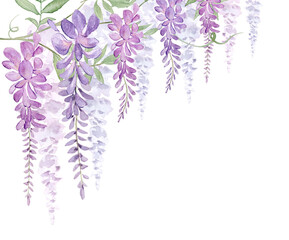 Watercolor purple wisteria flowers corner frame for spring background-300dpi-	