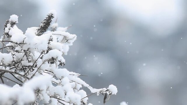 Details of actual snow falling at daytime in European city complicated life