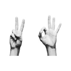 Fototapeta premium Halftone style close up of right hand showing peace sign and left hand displaying okay gesture isolated on white transparent background with artistic dot pattern effect