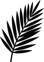 Obraz premium Palm tree leaf black silhouette isolated on transparent background vector icon design element for web and print applications