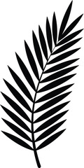 Obraz premium Black silhouette fern leaf or palm frond icon isolated on transparent background vector illustration for natural decor